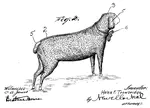Helen F. Trowbridge, US1023401A