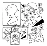 Linda Karpellus, AT85229TA